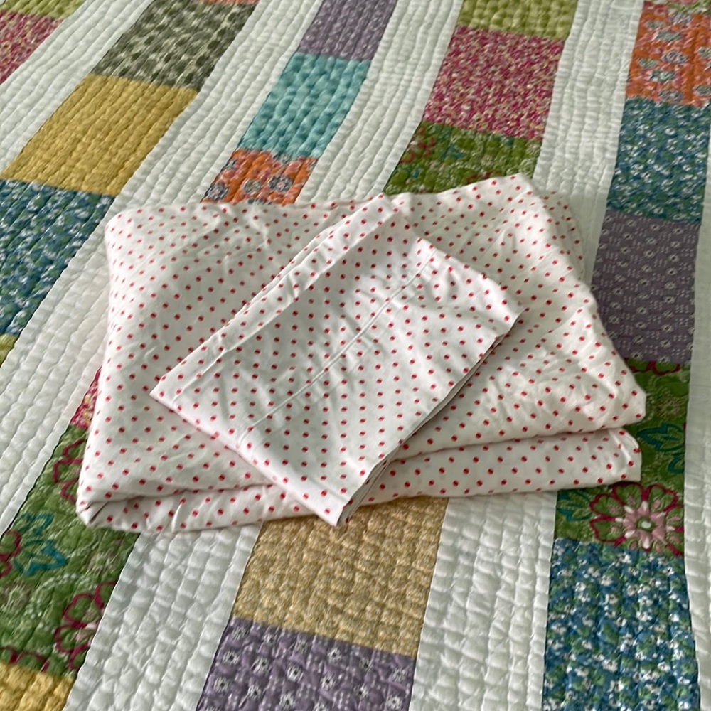 Polka dot flat twin sheet and standard case